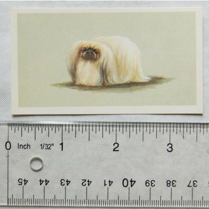 1979 Grandee Top Dogs Card No. 9 The Pekingese