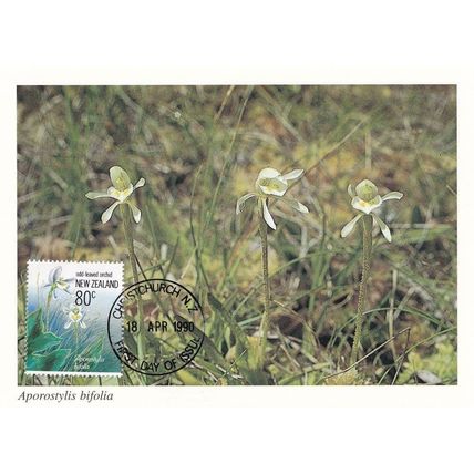 Aporostylsis Bifolia New Zealand Flower Christchurch Postcard First Day Cover