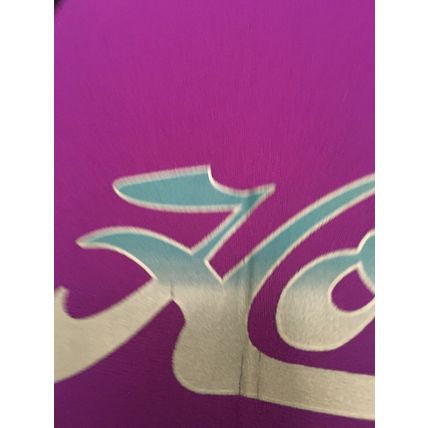 1 Pc Hobie by Stearns Youth Boys Purple Black Shortie Wetsuit Jumpsuit Shorts
