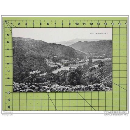 BETTWS-T-COED, WALES, Postcard