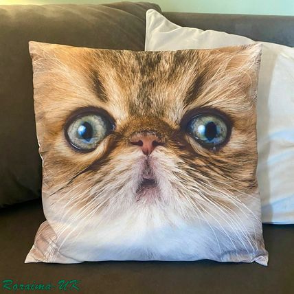 CAT Cushion Animal Cover Printed Pillow CASE Sofa Home Decor 45 x 45cm 18'' UK A
