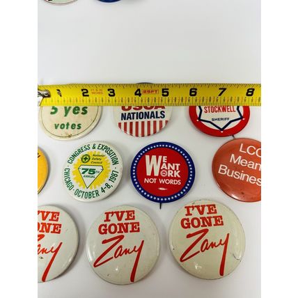 Lot of 10 VTG Misc Political Pins Pinbacks Buttons Pewoski, Zary, Stockwell,USCA