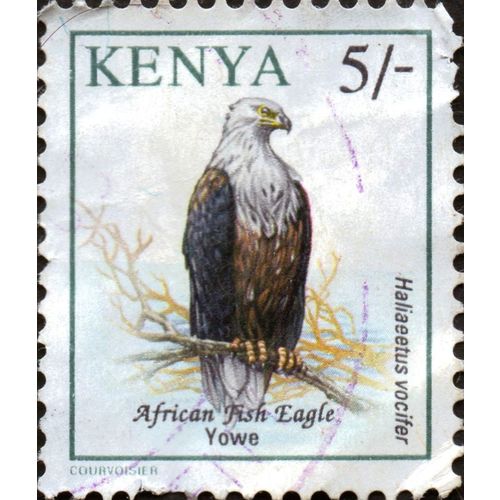 KENYA, BIRDS, African Fish Eagle, 1993, 5/-