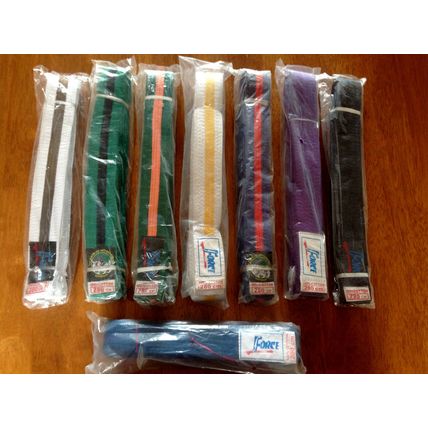 Force Tae Kwon Do / Judo / Martial Arts Belt Various Colours Brand New