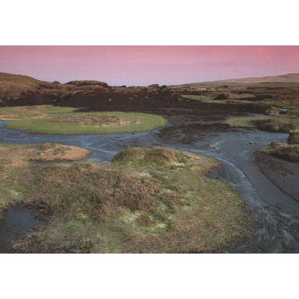 Tarddiad Afon Hafren Welsh Local Nature Photographer Postcard