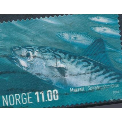 Marine Life: 11.00kr - Norway 2007 - F H - MiNr 1616