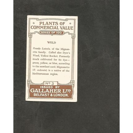 Cigarette Card Gallaher Plants of Commercial Value 1917 #3 Weld