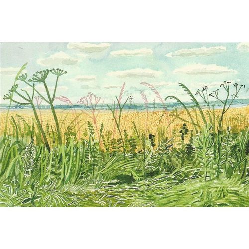 01530 00017: 'Roadside Plants and Landscape. East Yorkshire,' 2004 (D. Hockney).