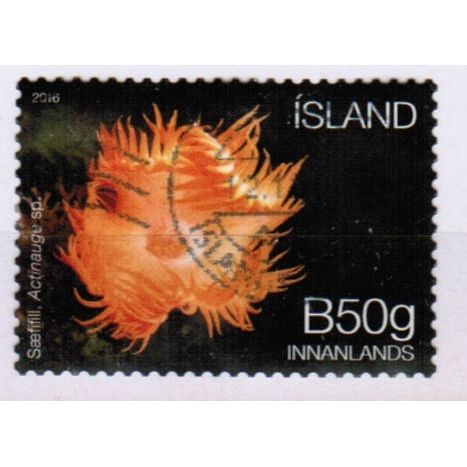 2016 Iceland Sc# 1414 - Marine Fauna (sea anemone) B50g (180kr) used