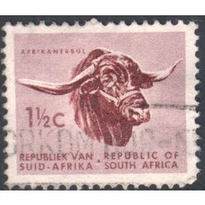 South Africa 1961 - SG200 - 1½c lake/purple - Afrikander Bull - used
