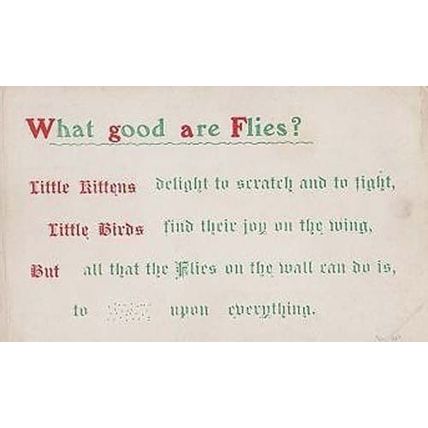 What Good Are Flies Songcard Insect Poem Proverb Kittens Little Birds Postcard