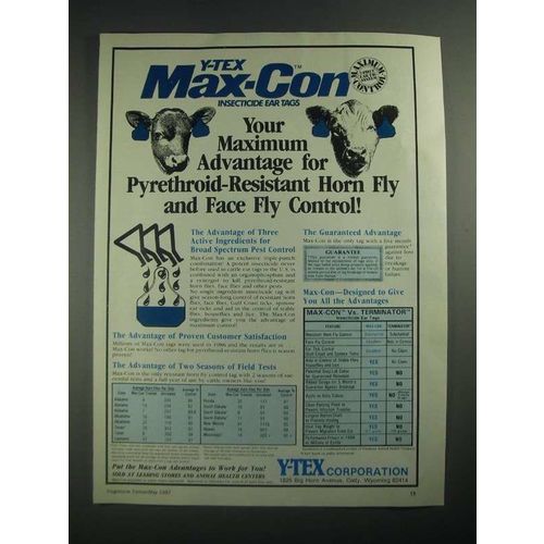 1987 Y-Tex Max-Con insecticide ear tags Ad - Horn Fly