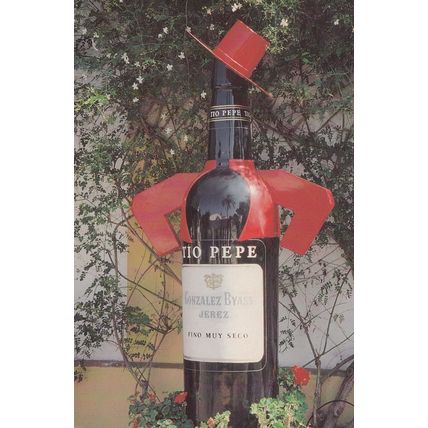 Wine Bottle Dressed As Spanish Man In Suit Advertising Postcard