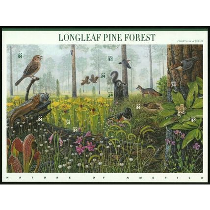 Longleaf Pine Forest Nature Series Sheet of Ten 34 Cent Stamps Scott 3611