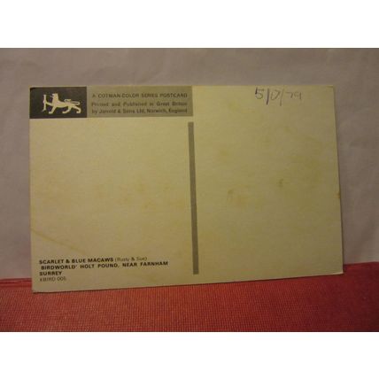 TWO MACAW PARROTS unused postcard 'BIRDWORLD' HOLT POUND, FARNHAM, SURREY =