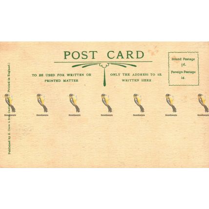 Canterbury Cathedral, Cloisters, Kent, E Crow Postcard