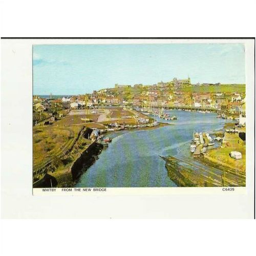 Yorkshire WHITBY View Postcard by Judges (C6439)