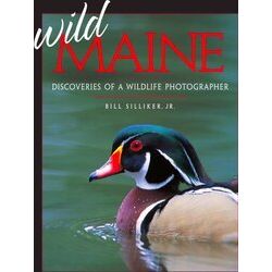Wild Maine