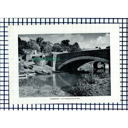(8088) Pulborough Sussex - 1953 Cutting