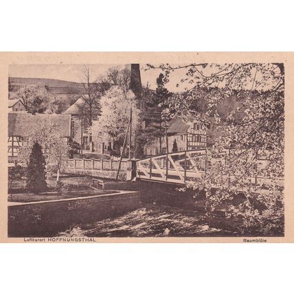 Luftkurort Hoffnungsthal Baumblute Antique German Postcard