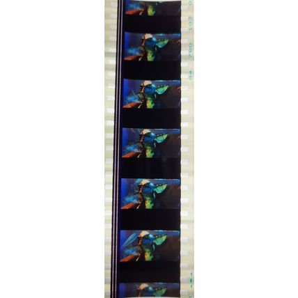 Gremlins. pk HCH - A 013m . 1 strip of 5 film cells - 35mm