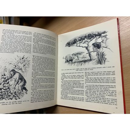 c1955 "SWIFT ANNUAL NUMBER 2" ILLUSTRATED ANNUAL HARDBACK BOOK (P4)