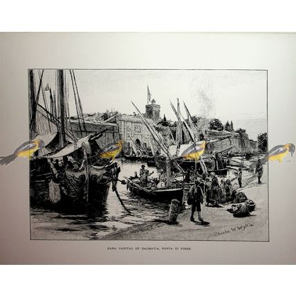 Zara, Porta Di Fosse, Dalmatia (Zadar Croatia), Book Illustration (Print), 1890