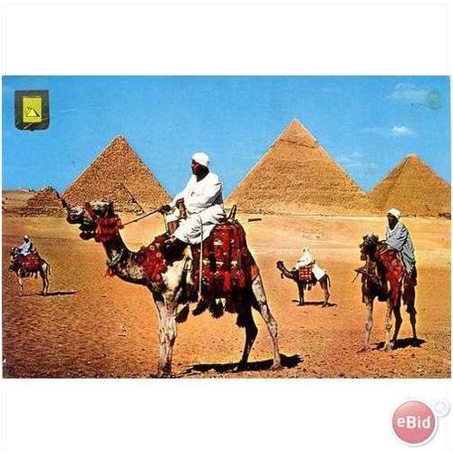 1976 Pyramids at Giza, Egypt - rush hour traffic camels