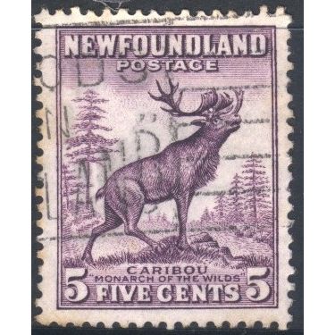 Newfoundland 1932 - SG211 - 5c purple - Caribou (Reindeer) - used