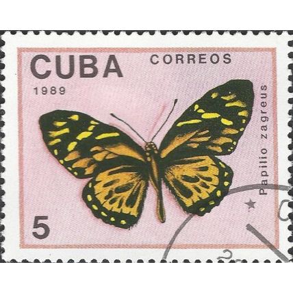 CUBA, BUTTERFLY, Papilio zagreus, pink 1989, 5c