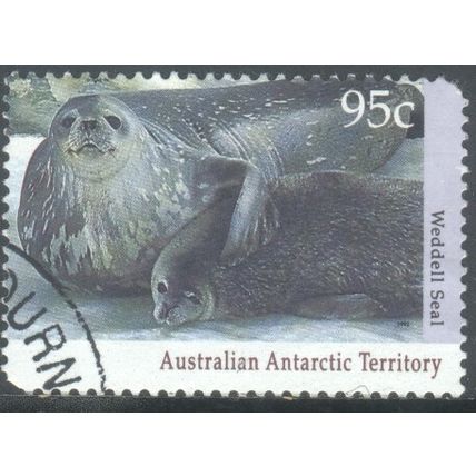 Australia Antarctic Territory 1992 - SG93 - 95c - Weddell Seal & Pup - used