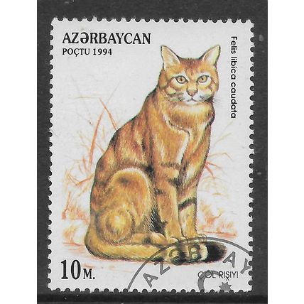 AZERBAIJAN 1994 WILDCATS 10M FELIS LIBICA CAUDATA SG 195 FINE USED#4