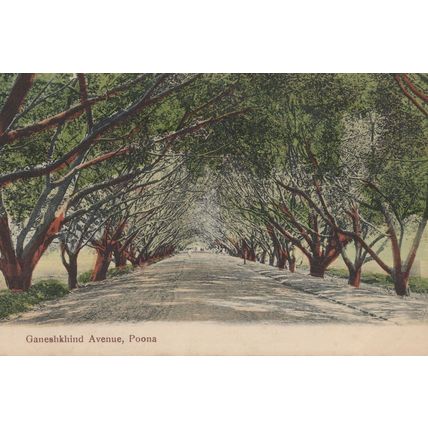 Ganeshkhind Avenue Poona India Old Postcard