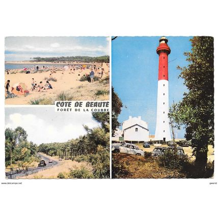 17 - forêt de la Coubre