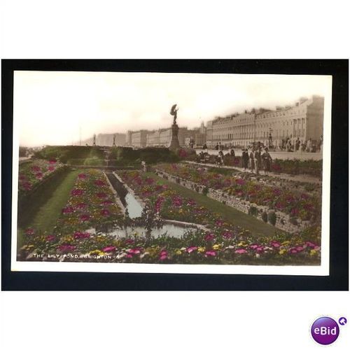 Sussex BRIGHTON Lily Pond Postcard by J.& S.