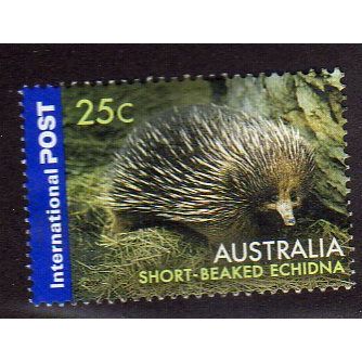 AUS 2006 25c 'SHORT BEAKED ECHIDNA' FINE USED (EBID44-042)