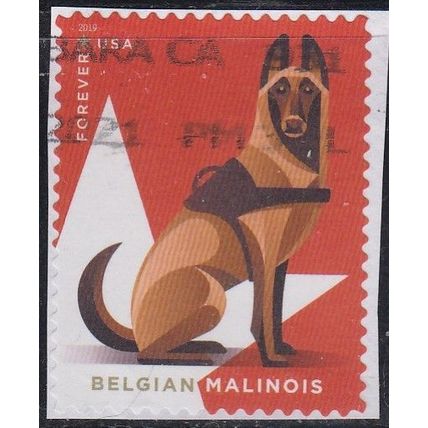 USA, 2019 (55c) Military Working Dogs, SG 6021 (Scott #5407), used on piece.