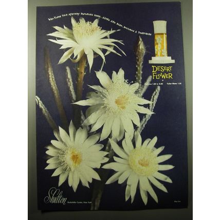 1950 Shulton Desert Flower Perfume Ad - Who finds this mystery blooming here