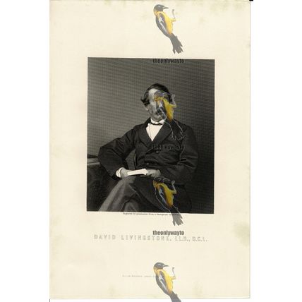 David Livingstone, Explorer, Book Illustration (Print), 1899