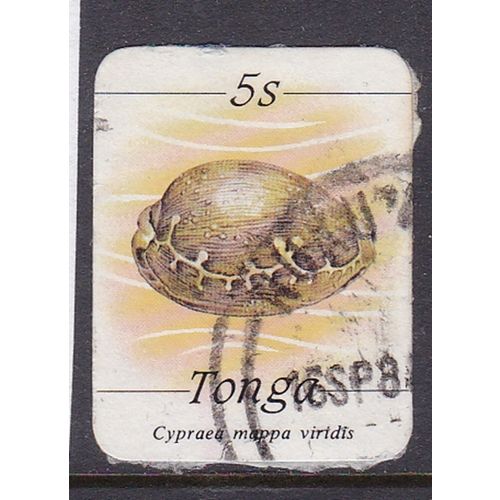 TONGA 1984 MARINE LIFE 5s SHELL USED SG865