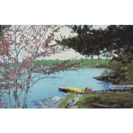 Orillia Fish & Chips James St Street Forest Canadian Kodak Photo Canada Postcard