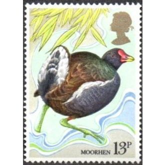 1980 Centenary of Wild Bird Protection Act, 13p Val. Moorhen UnMounted Mint/NH