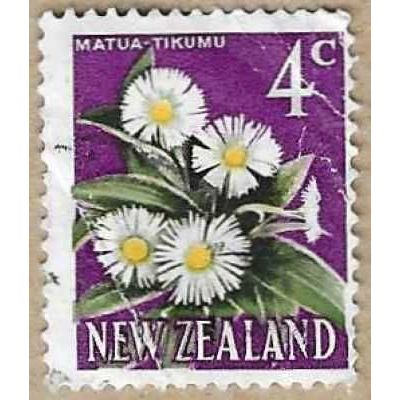 1967 - Mountain Daisy - 16355