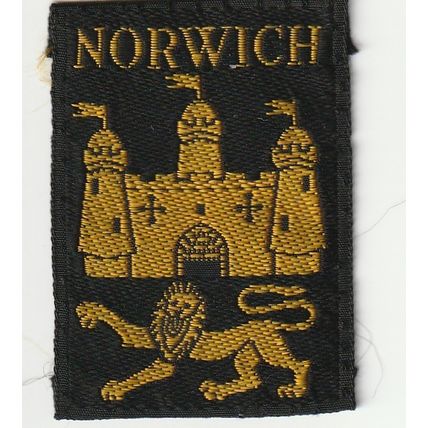 Scout Badge UK - Norwich Central (Black) - Ribbon - Used (BY24)