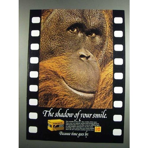 1984 Kodak Kodacolor VR 200 Film Ad - Shadow of Smile