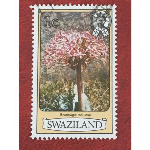 Swaziland QEII 1980 Flowers 1c Brunsvigia radulosa Used SG 340A Sc 346 stamp