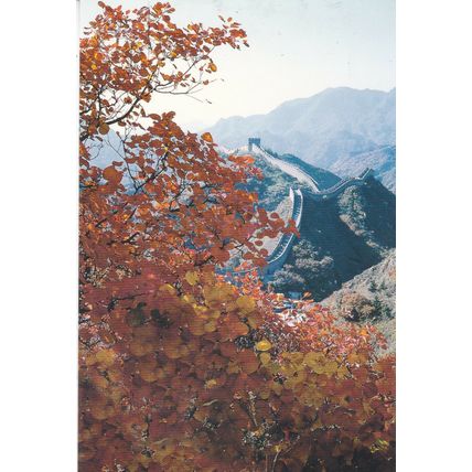 Red Leaves Surrounding The Great Wall China Postcard Unused VGC