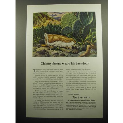 1949 Travelers Insurance Ad - Chlamyphorus wears his backdoor