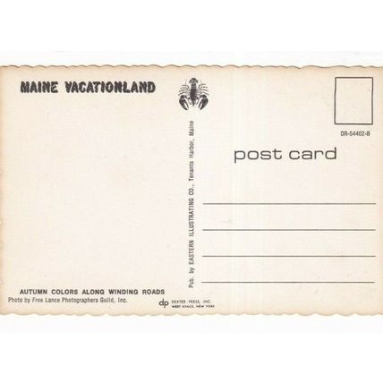 Maine Autumn Colors United States Postcard unused VGC