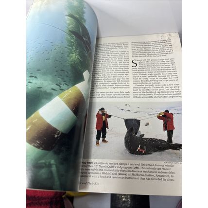 National Geographic Magazine April 1987 Seals & Their Kin Vintage Collectable g